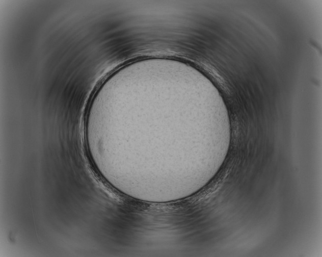 X0000091450840200709131714