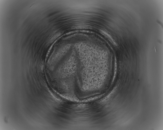 X0000091450841200709131714