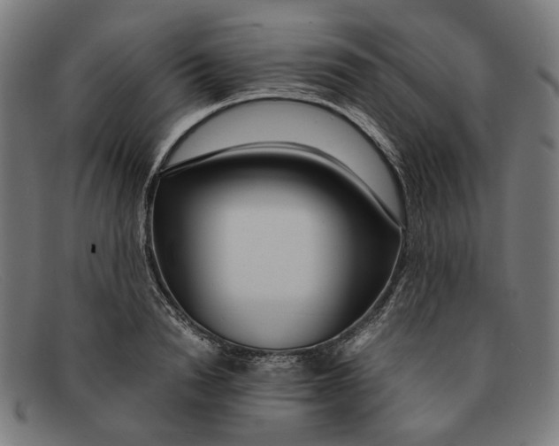 X0000091450846200709131714