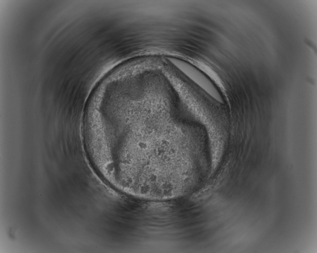 X0000091450847200709131714