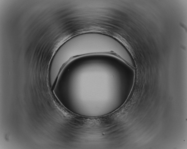 X0000091450850200709131714