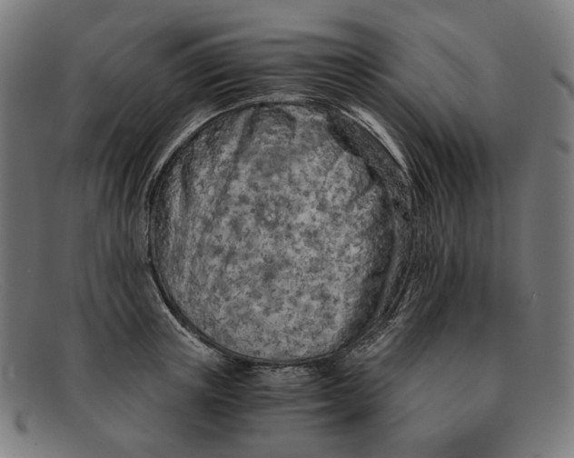 X0000091450851200709131714
