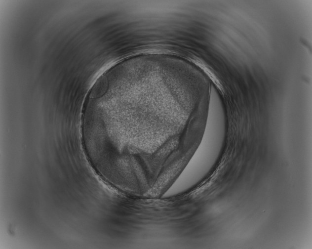 X0000091450853200709131714