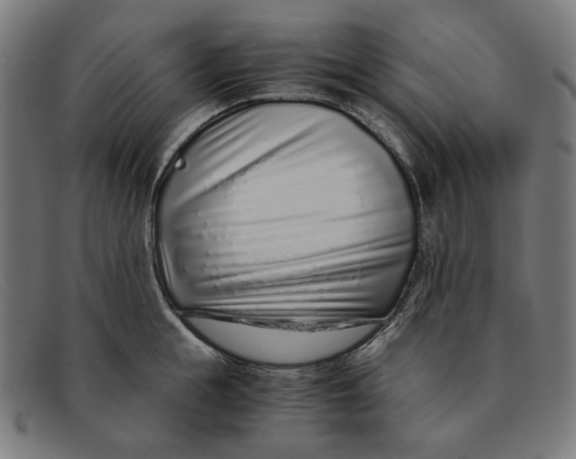 X0000091450855200709131714