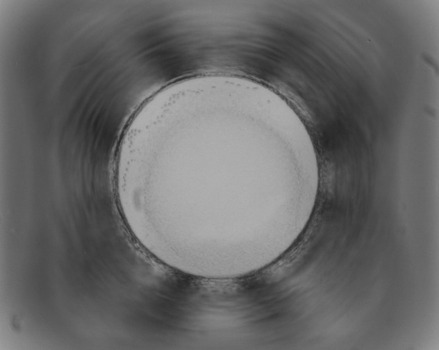 X0000091450856200709131714