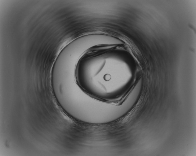 X0000091450858200709131714