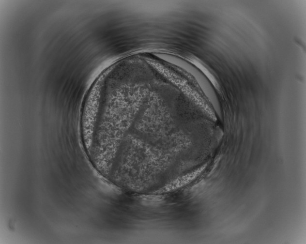 X0000091450861200709131714