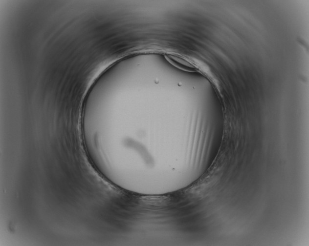 X0000091450863200709131714