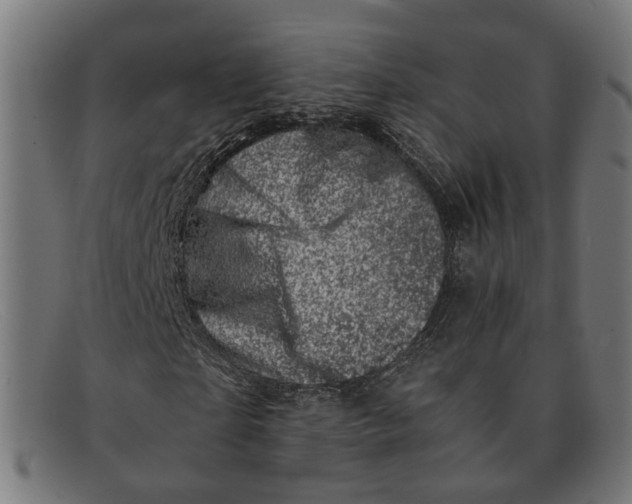 X0000091450865200709131713