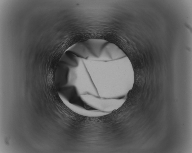X0000091450866200709131713