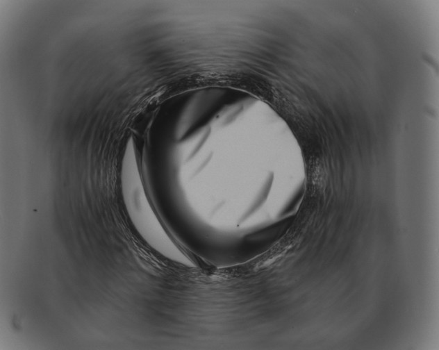X0000091450868200709131713