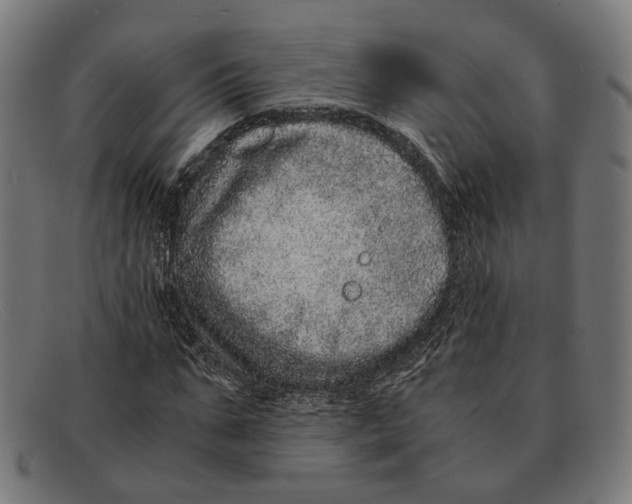 X0000091450871200709131713