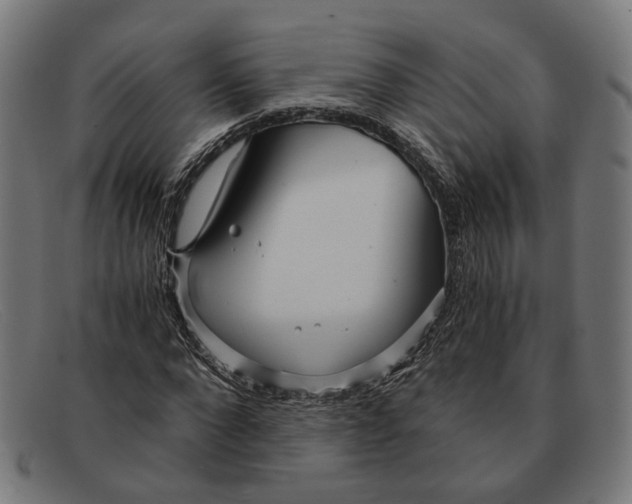 X0000091450872200709131713