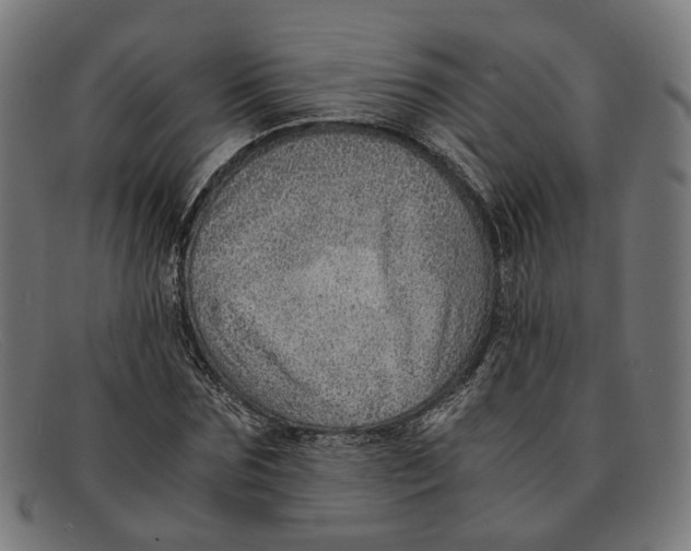 X0000091450875200709131713