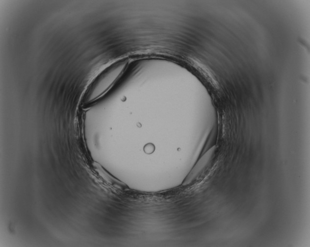 X0000091450876200709131713