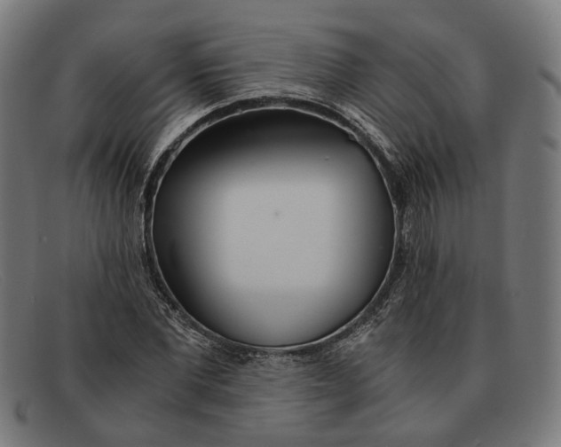 X0000091450877200709131713