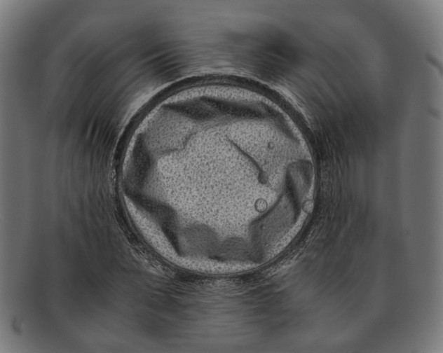 X0000091450879200709131713