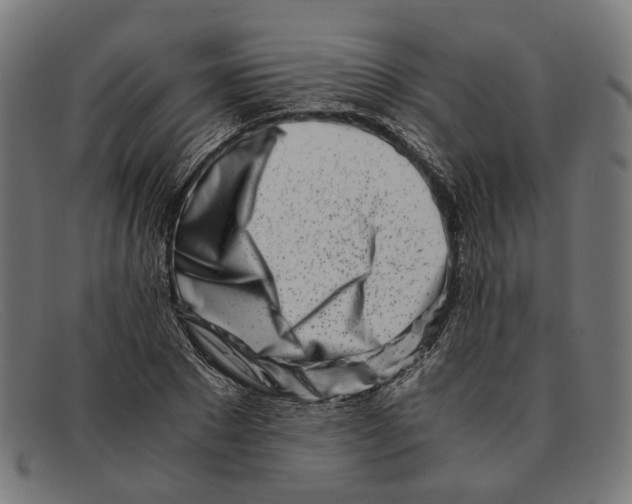 X0000091450881200709131713