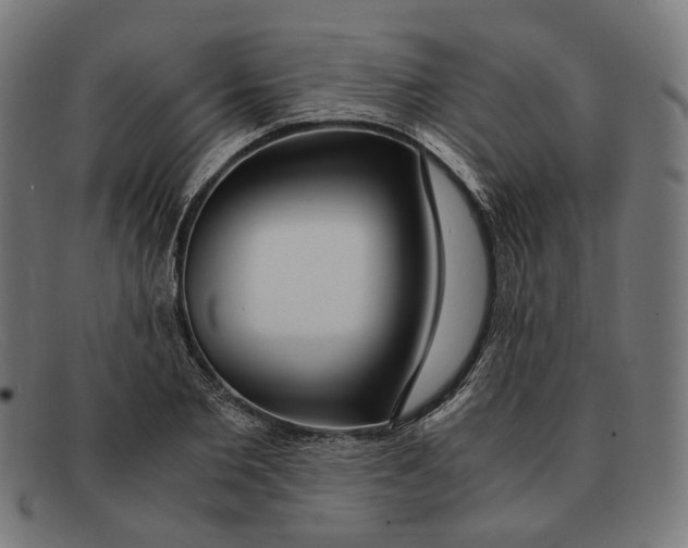 X0000091450885200709131713