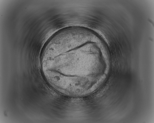 X0000091450887200709131713
