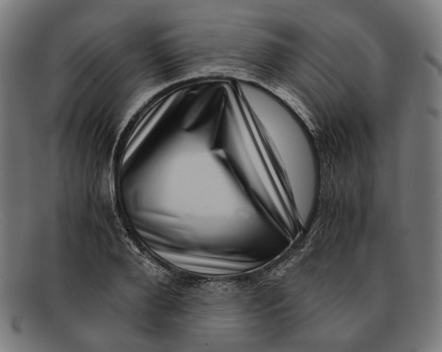 X0000091450888200709131713