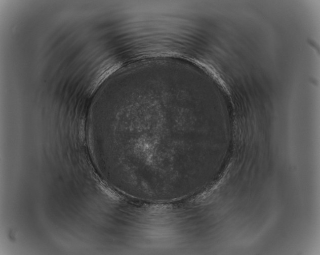 X0000091450889200709131713