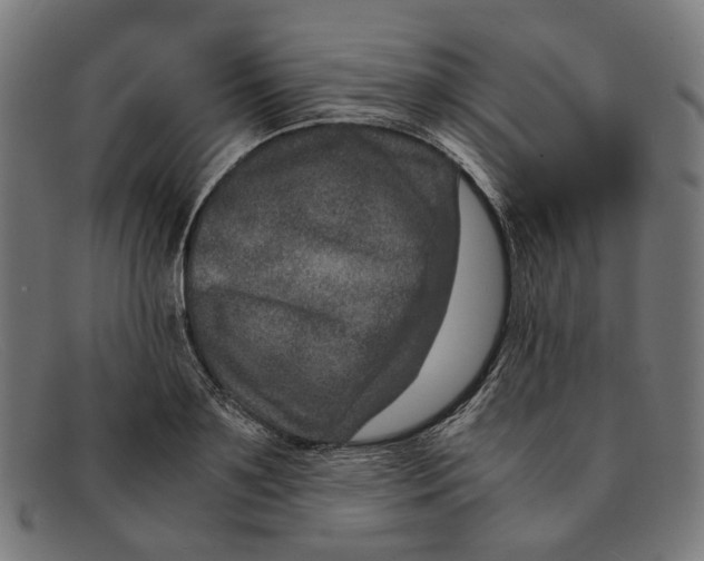 X0000091450891200709131713