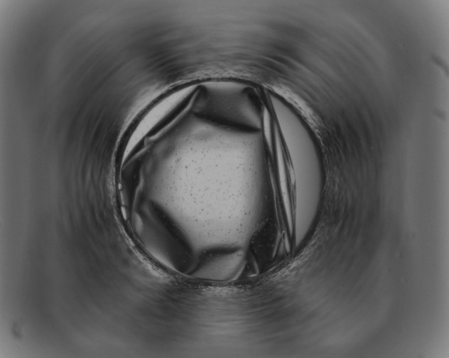 X0000091450894200709131713