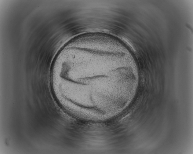 X0000091450895200709131713