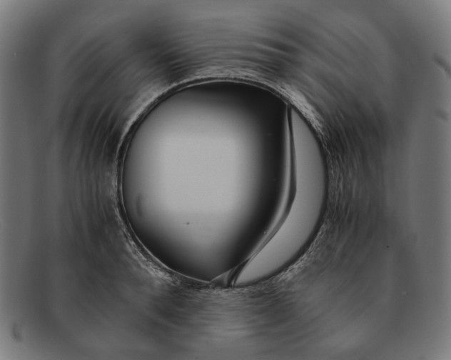X0000091450896200709131713