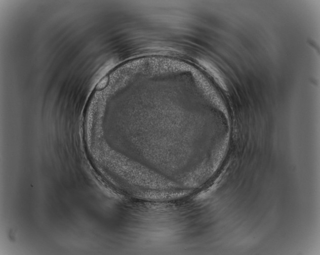 X0000091450899200709131713
