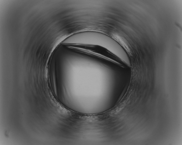 X0000091450900200709131713