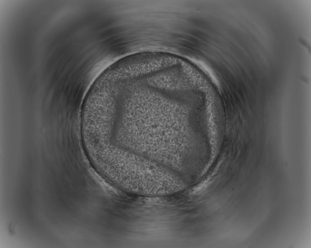 X0000091450903200709131713