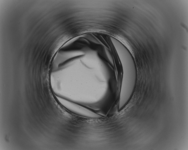 X0000091450906200709131713