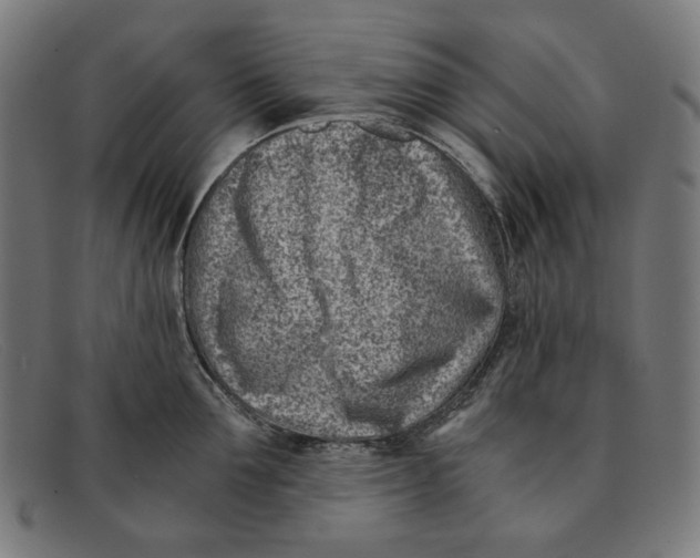 X0000091450907200709131713