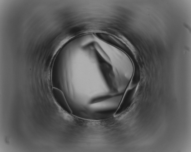 X0000091450909200709131713