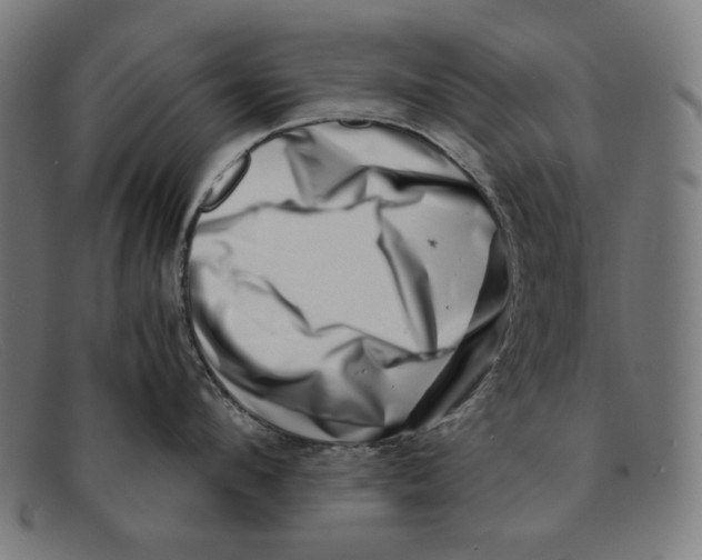 X0000091450912200709131713