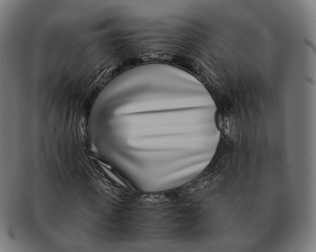 X0000091450915200709131712