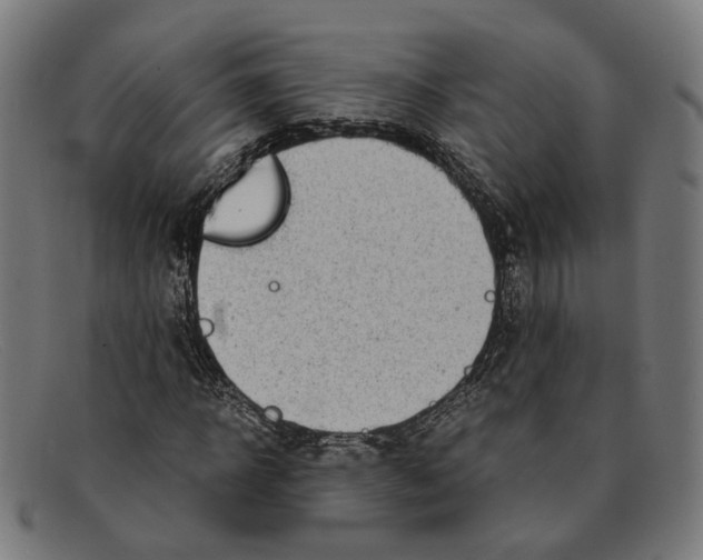 X0000091450918200709131712