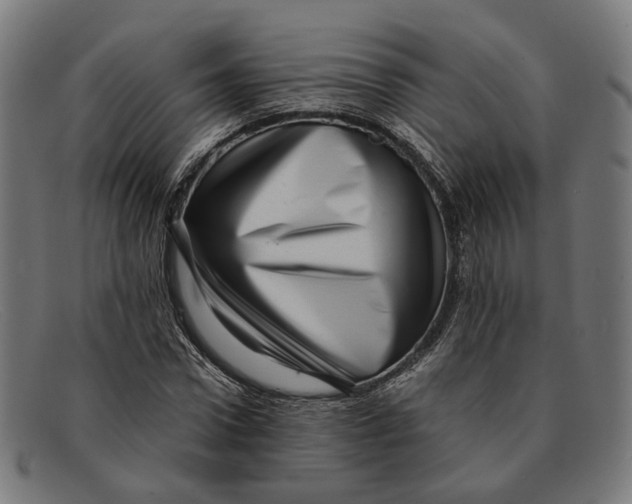 X0000091450922200709131712