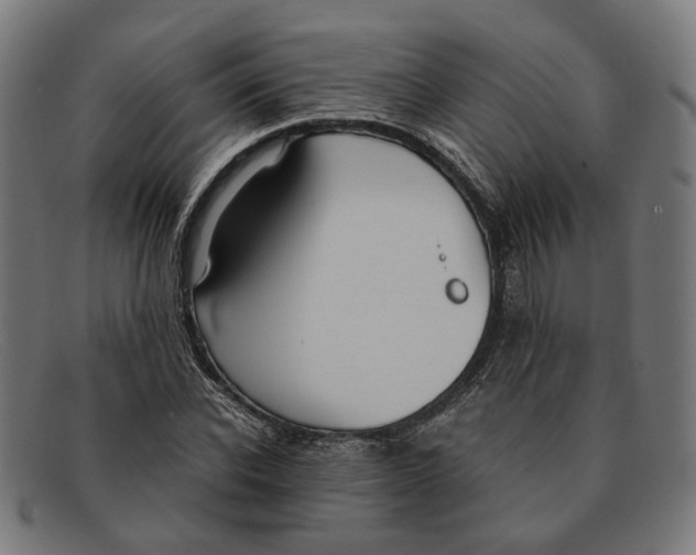 X0000091450926200709131712