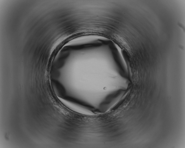 X0000091450928200709131712