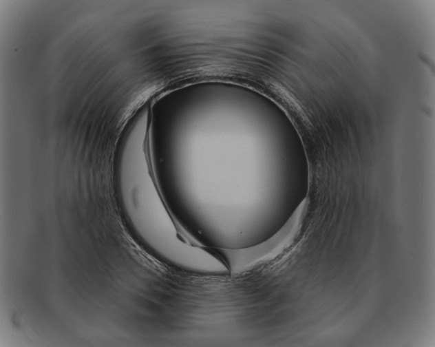 X0000091450930200709131712