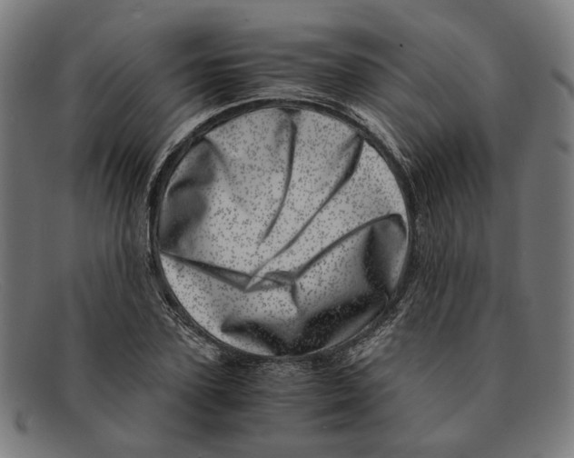 X0000091450931200709131712