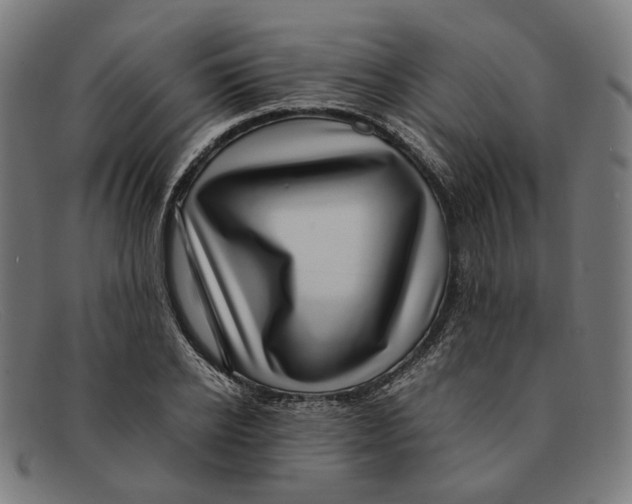 X0000091450934200709131712
