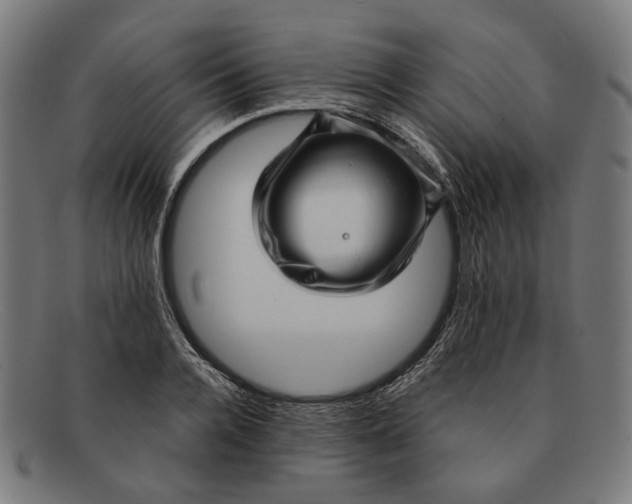 X0000091450936200709131712