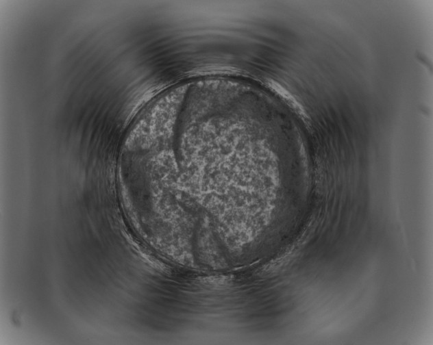 X0000091450937200709131712