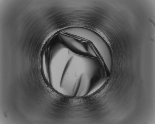 X0000091450939200709131713
