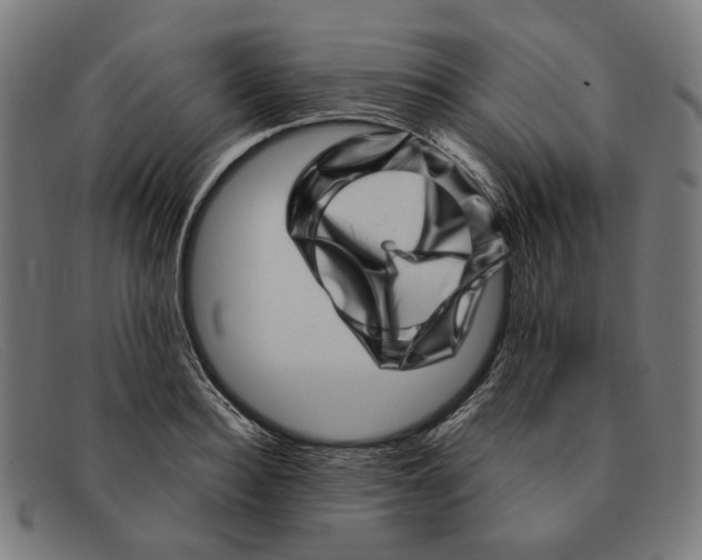 X0000091450940200709131713