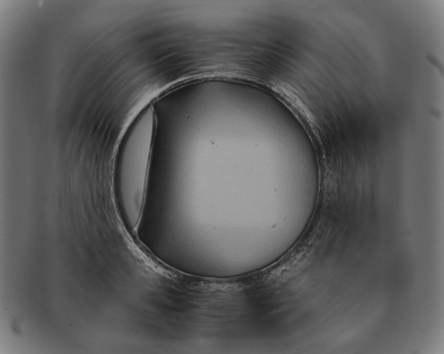 X0000091450941200709131713